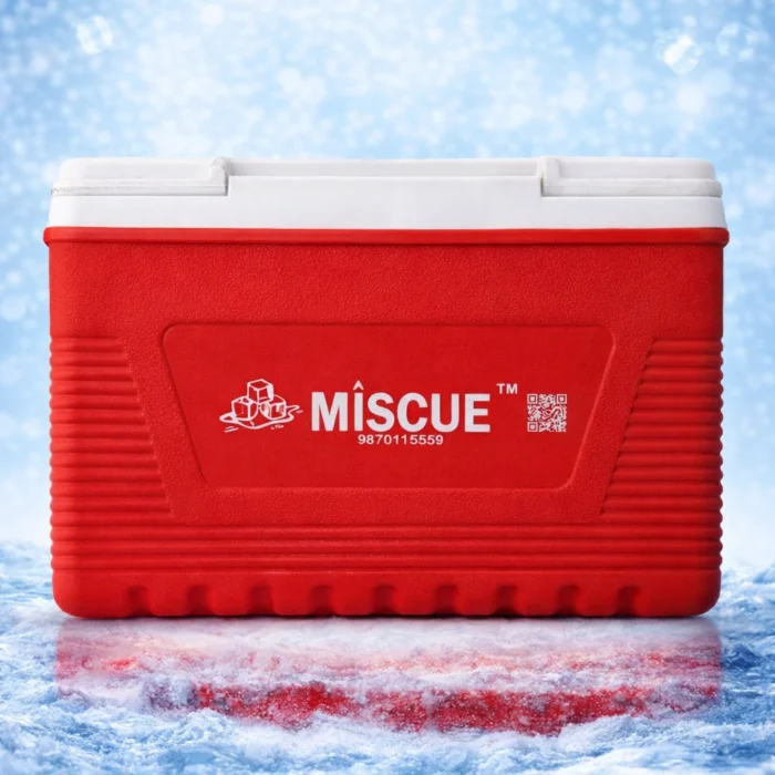 Ice Box Container with  25kg Ice